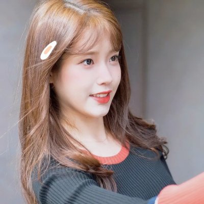 我的“狐朋狗友”